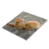 Toadstocker auf einem Baumstamm Fliese (Seite)