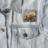 Toadstocker auf einem Baumstamm-Knopf Button (Beispiel)