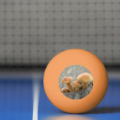 Toadstocker auf einem Baumstamm Ping Pong Ball Tischtennisball (Netto)