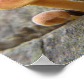 Toadstocker auf einem Baumstamm-Poster Poster (Ecke)