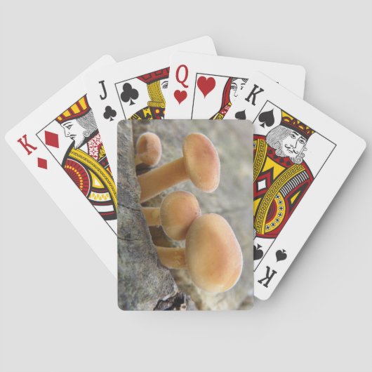 Toadstocker auf einem Baumstamm spielen Karten Spielkarten (Rückseite)