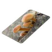 Toadstocker auf einem Tree Trunk Flexi Magnet (Linke Seite)