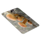 Toadstocker auf einem Tree Trunk Flexi Magnet (Rechte Seite)