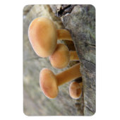 Toadstocker auf einem Tree Trunk Flexi Magnet (Vertikal)