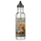 Toadstocker auf einer Baumrinde-Wasserflasche Edelstahlflasche (Links)