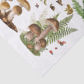 Toadstool entcoupage Papier Waldelemente (Ausschnitt)