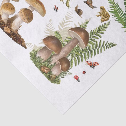 Toadstool entcoupage Papier Waldelemente (Ausschnitt)