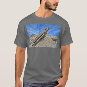 Toadstool Geologischer Park 1 T-Shirt