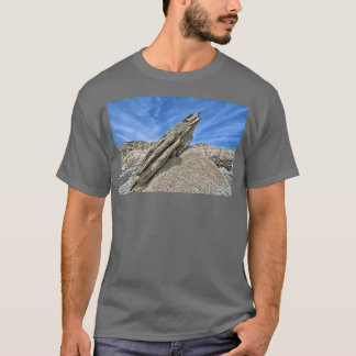 Toadstool Geologischer Park 1 T-Shirt