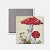Toadstool Magnet (Vorderseite/Rückseite)