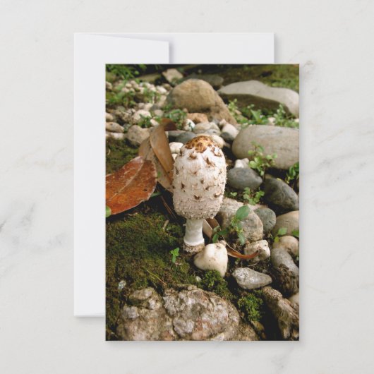 Toadstool, Moos und Steine Dankeskarte (Vorderseite)