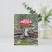 Toadstool Mushroom Postkarte (Stehend Vorderseite)