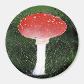 Toadstool Pilz in Moss Umgebung Magnet (Vorne)