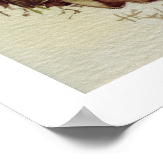 Toadstool Poster (Ecke)