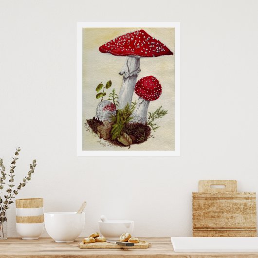 Toadstool Poster (Küche)
