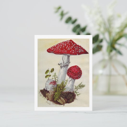 Toadstool Postkarte (Stehend Vorderseite)