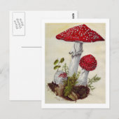 Toadstool Postkarte (Vorne/Hinten)