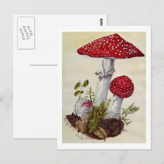 Toadstool Postkarte (Vorne/Hinten)