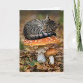 Toadstool Tabby Faltkarte Karte (Vorderseite)