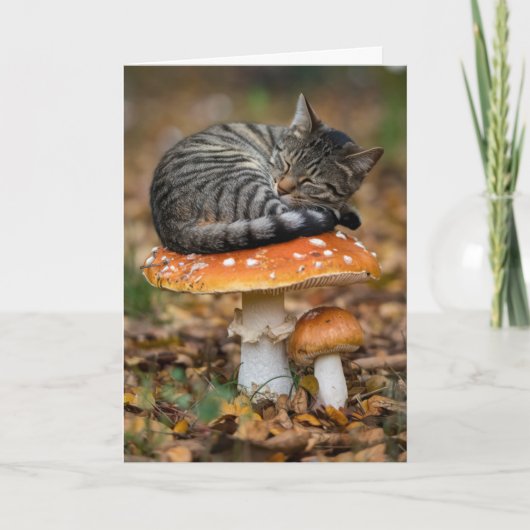 Toadstool Tabby Faltkarte Karte (Vorderseite)