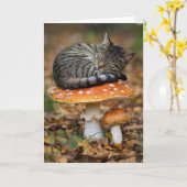 Toadstool Tabby Faltkarte Karte (Gelbe Blume)