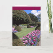 Toadstool-Topiarykarte Karte (Rückseite)