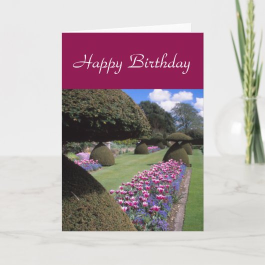 Toadstool-Topiarykarte Karte (Vorderseite)