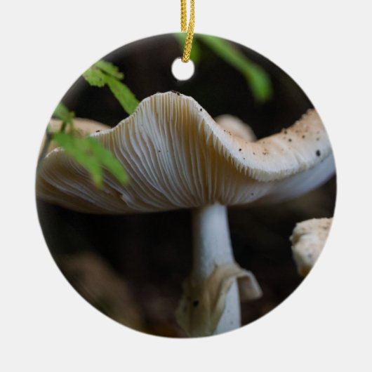Toadstool Umbrella Keramik Ornament (Vorne)