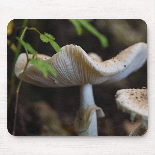 Toadstool Umbrella Mousepad (Vorne)