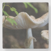 Toadstool Umbrella Steinuntersetzer (Vorderseite)