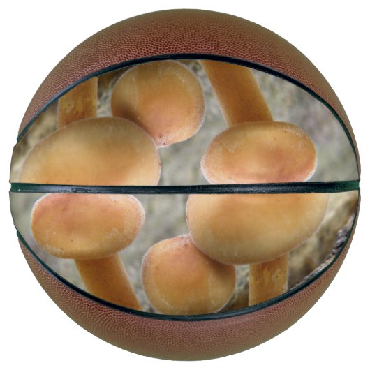 Toadstools auf einem TRee Trunk Basketballs (Vorderseite)
