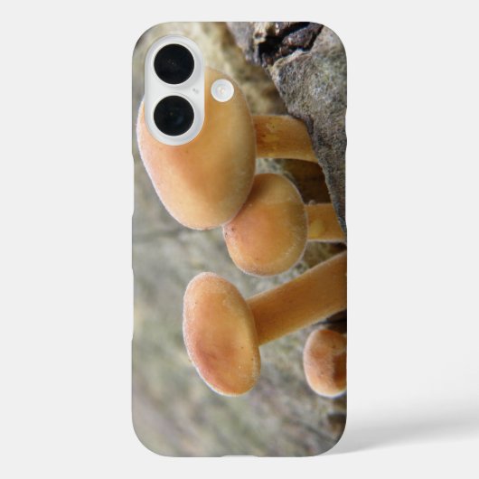 Toadstools auf einem Tree Trunk iPhone Case (Rückseite)
