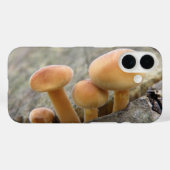 Toadstools auf einem Tree Trunk iPhone Case (Rückseite (Horizontal))