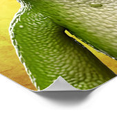 ToadTally Phantastisch Poster (Ecke)