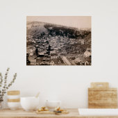 TOADWOOD, SÜDDAKOTA 1888 NR. 2 POSTER (Küche)