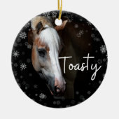 Toasty Ornament (Vorne)