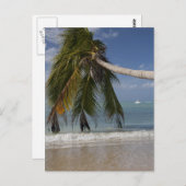 Tobago_-1926 Postkarte (Vorne/Hinten)