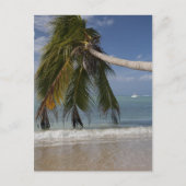 Tobago_-1926 Postkarte (Vorderseite)