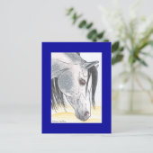 Tobehz bint Ardumm Postkarte (Stehend Vorderseite)