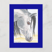 Tobehz bint Ardumm Postkarte (Vorderseite)