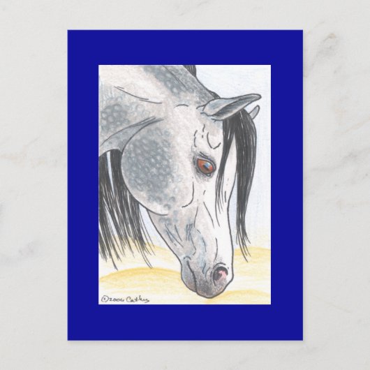 Tobehz bint Ardumm Postkarte (Vorderseite)