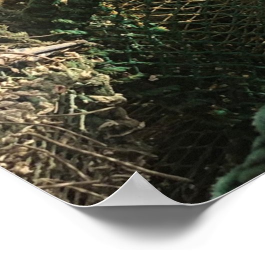 Tobermory, Insel Mull, Schottland Landschaftlich Poster (Ecke)