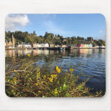 Tobermory, Insel Mull, Schottland mit Blume