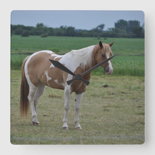 Tobiano Farben-Pferd Quadratische Wanduhr (Vorderseite)