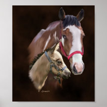 Tobiano Paint Mare und Foal