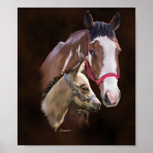 Tobiano Paint Mare und Foal Poster (Vorne)