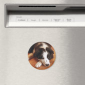 Toby2 Magnet (In Situ (Geschirrspüler))