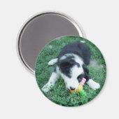 Toby3 Magnet (Vorderseite/Rückseite)