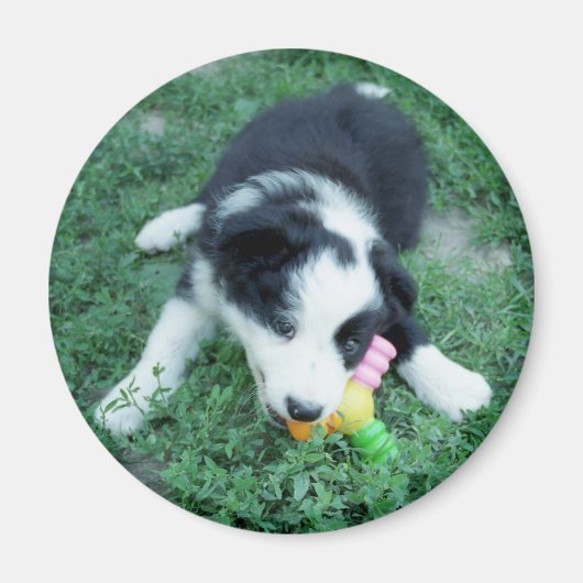 Toby3 Magnet (Vorne)