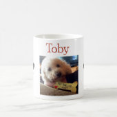Toby-Foto-Tasse Kaffeetasse (Mittel)